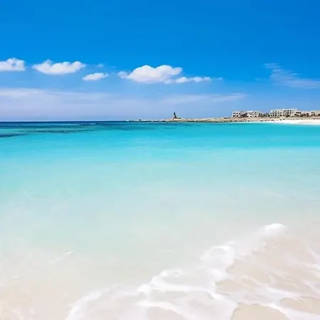 Apartment Jasmine Sirens Dom Na Cyprze Ayia Napa