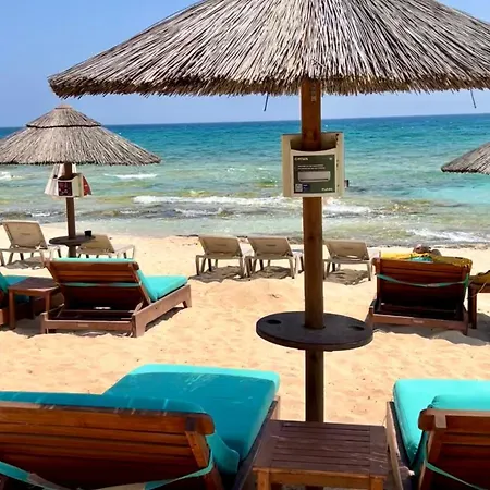 Jasmine Sirens Dom Na Cyprze